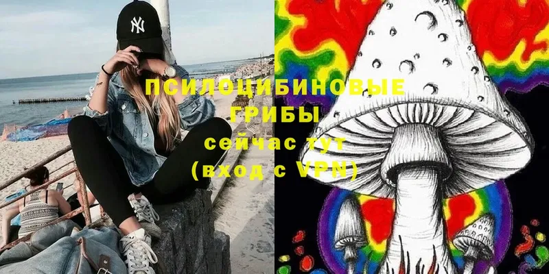 Галлюциногенные грибы Cubensis  Дегтярск 